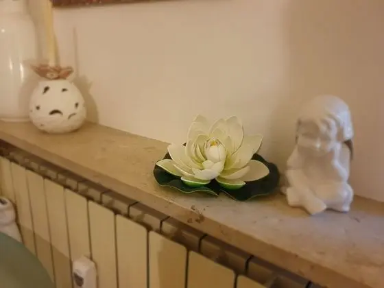 Romantic Tek Büyük Yataklı Oda, Ortak Banyo, Şehir Manzaralı
