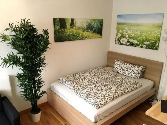 Basic Stüdyo