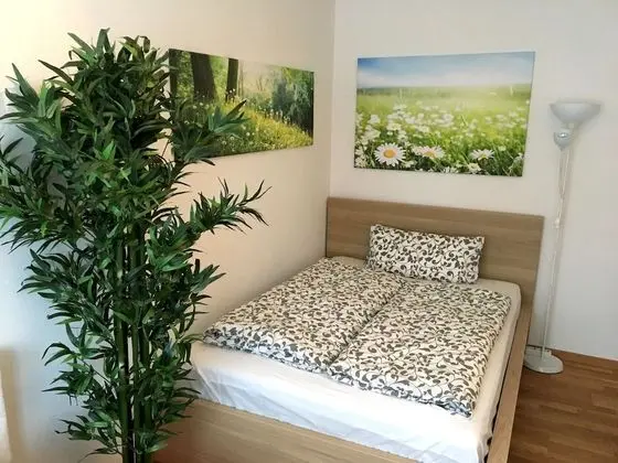 Basic Stüdyo