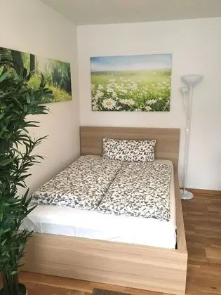 Basic Stüdyo