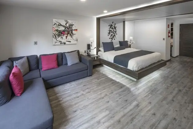 Junior Süit, 1 En Büyük (King) Boy Yatak, Şehir Manzaralı