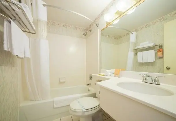 1 Çift ​​kişilik Yatak King Size Bed