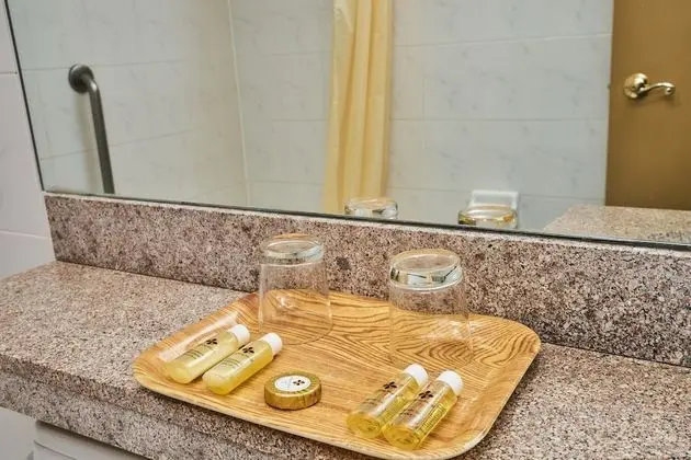 Basic Tek Büyük veya İki Ayrı Yataklı Oda