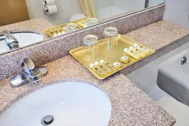 Basic Tek Büyük Yataklı Oda, 1 Yatak Odası
