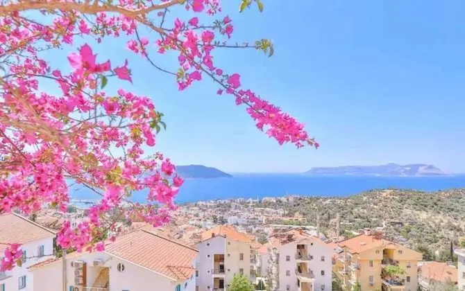 Deluxe Apartment, Sea View