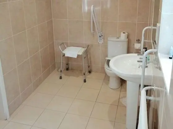 Tek Büyük Yataklı Oda, Engellilere Uygun, Banyolu/Duşlu (Disabled Facilities)
