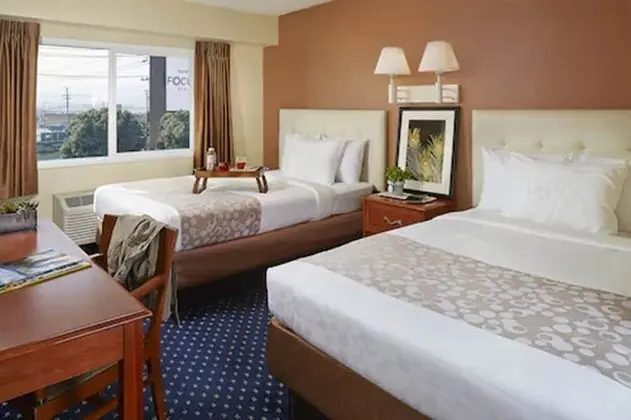 Oda, 2 Çift Kişilik Yatak (Pan Pacific)