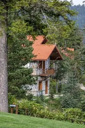 Kamelya Villa
