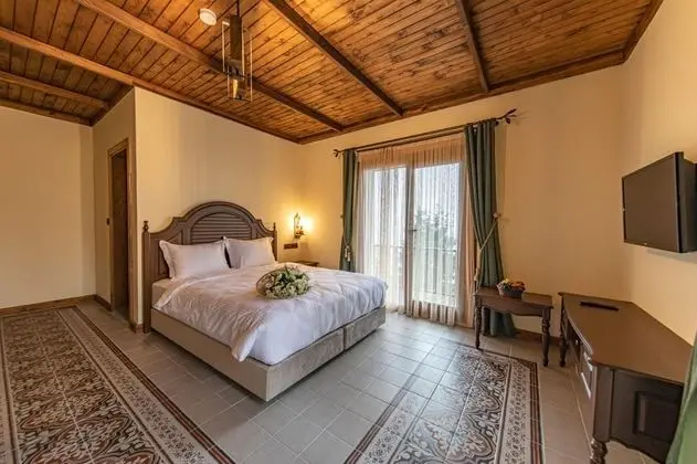 Villa, Dağ Manzaralı, Şömineli ve Balkonlu