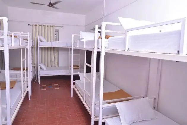 Deluxe Ortak Ranzalı Oda, Karma Ranzalı Oda (12 Beds)