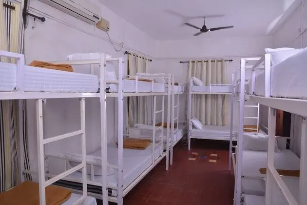 Deluxe Ortak Ranzalı Oda, Karma Ranzalı Oda (12 Beds)