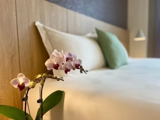 Romantic Tek Büyük Yataklı Oda, 1 Büyük (Queen) Boy Yatak, Engellilere Uygun, Dağ Manzaralı