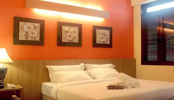 Deluxe Tek Büyük Yataklı Oda, 1 Büyük (Queen) Boy Yatak