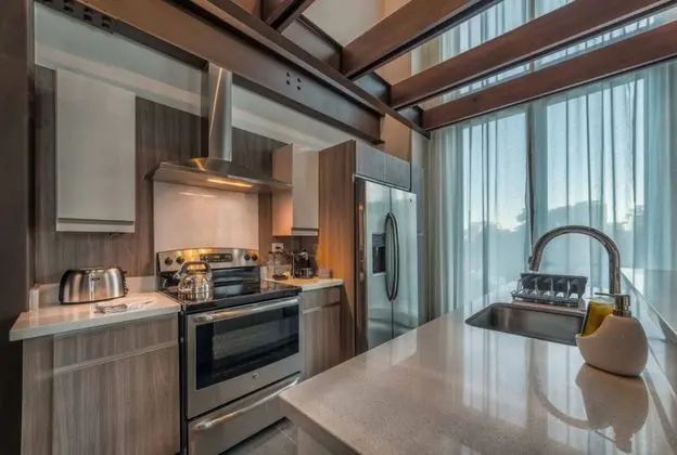 Çatı Katı (Loft), Mutfak, Şehir Manzaralı