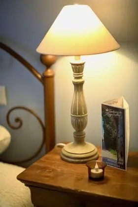 Comfort Tek Büyük veya İki Ayrı Yataklı Oda, Özel Banyo