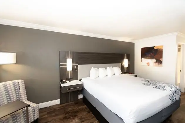 Deluxe Suite 1 Bedroom Apartment
