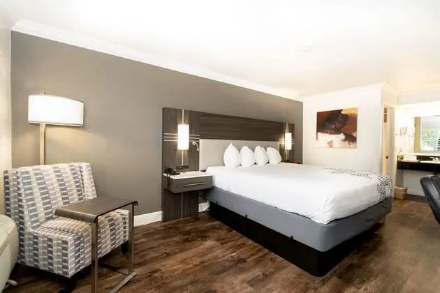 Deluxe Suite 1 Bedroom Apartment