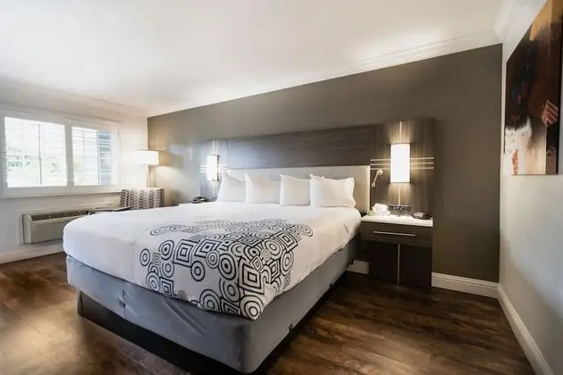 Deluxe Suite 1 Bedroom Apartment