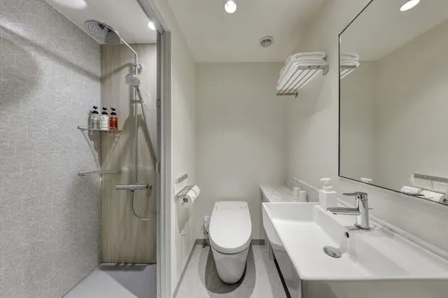 Superior İki Ayrı Yataklı Oda, Sigara İçilmez (Shower booth)