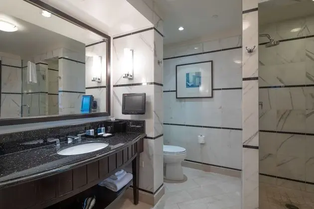 Junior Süit, 1 En Büyük (King) Boy Yatak ve Çekyat, Balkon, Havuz Manzaralı