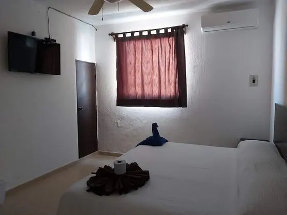 Executive King Suite