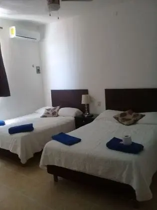 Executive Quadruple Suite