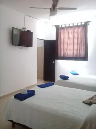 Executive Quadruple Suite