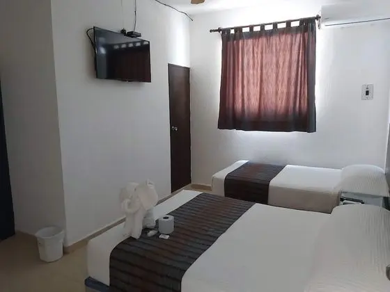 Executive Triple Suite