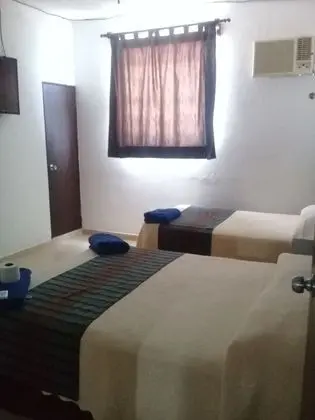 Executive Triple Suite
