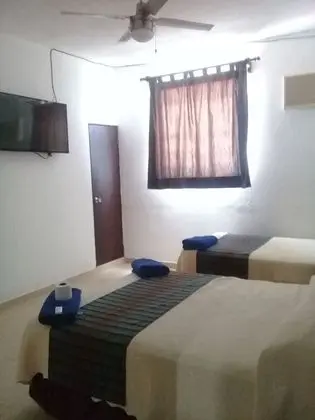 Executive Triple Suite