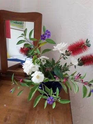 Economy Tek Büyük veya İki Ayrı Yataklı Oda, Özel Banyo, Üzüm Asması Manzaralı