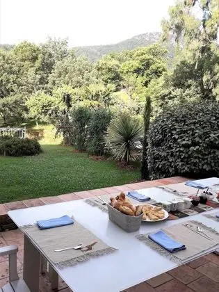 Economy Tek Büyük veya İki Ayrı Yataklı Oda, Özel Banyo, Üzüm Asması Manzaralı