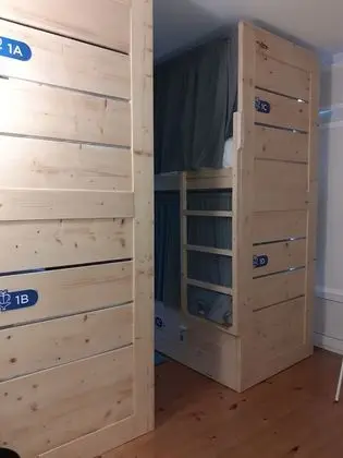 Superior Ortak Ranzalı Oda (1 Bed in Mixed Dormitory)