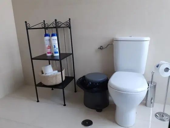 Superior Ortak Ranzalı Oda (1 Bed in Mixed Dormitory)