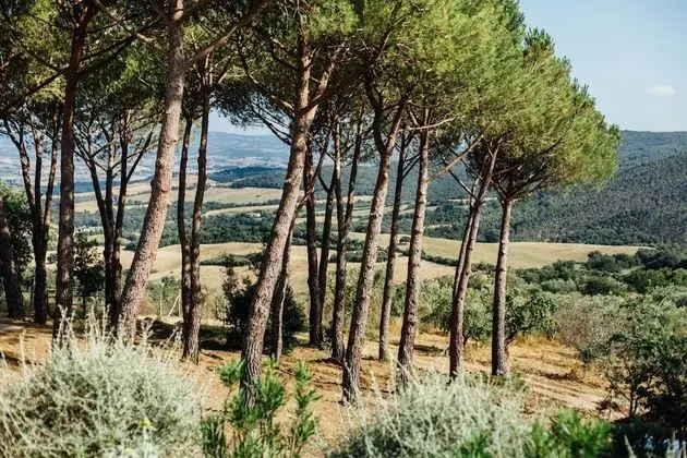 Apart Daire, 3 Yatak Odası, Teras, Tepe Manzaralı (La Piazzetta)