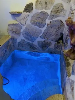 Deluxe Tek Büyük Yataklı Oda, Havuz Kullanımı, Bahçe Manzaralı (004)