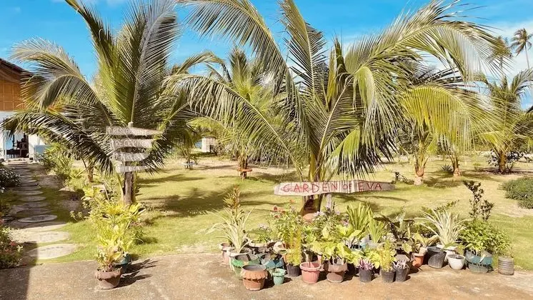 Basic Kulübe (Native, Fan)