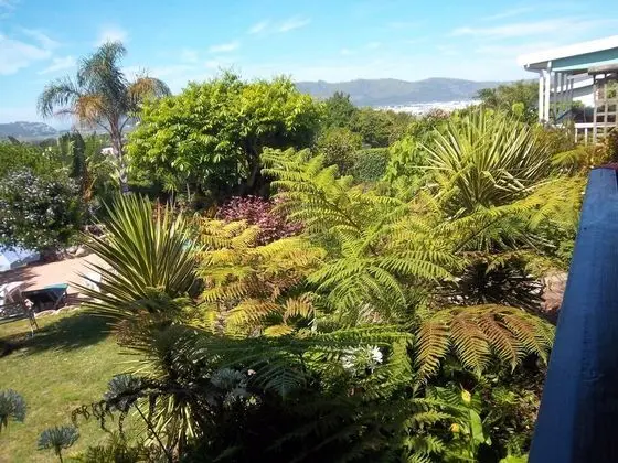 Standard Oda, 1 Yatak Odası