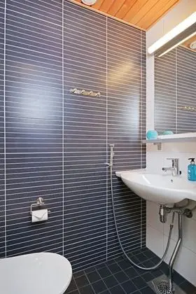 Apart Daire, 1 Yatak Odası, Sauna