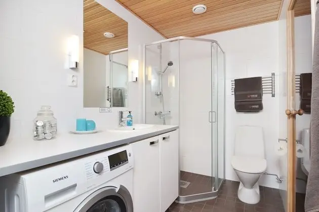 Apart Daire, 1 Yatak Odası, Sauna