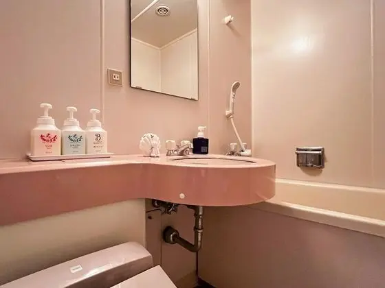 Traditional Oda, Sigara İçilmez, Göl Manzaralı