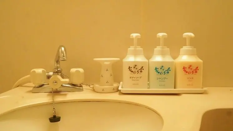 Traditional Oda, Sigara İçilmez, Şehir Manzaralı (Japanese Western Style)