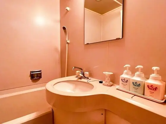 Traditional Oda, Sigara İçilmez, Şehir Manzaralı (Japanese Western Style)