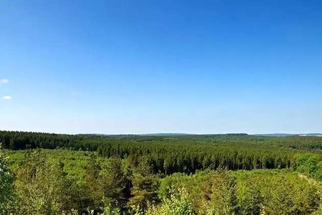 Ev, Birden Çok Yatak