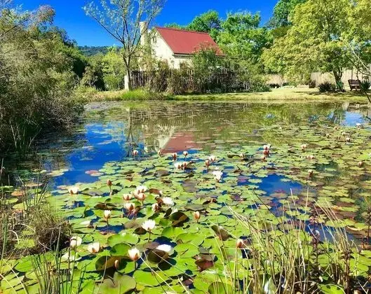 Froggy Pond Cottage