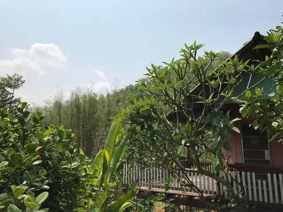Forest Chalet