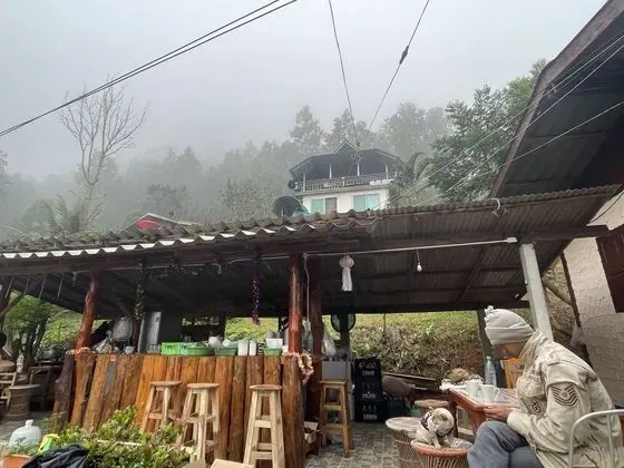 Forest Long Stay