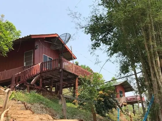 Forest Long Stay
