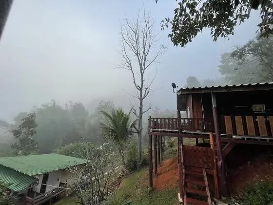 Forest Superior Chalet
