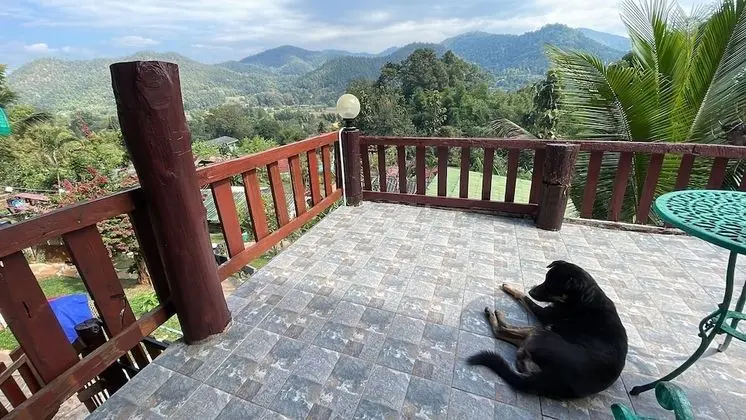 Forest Superior Chalet